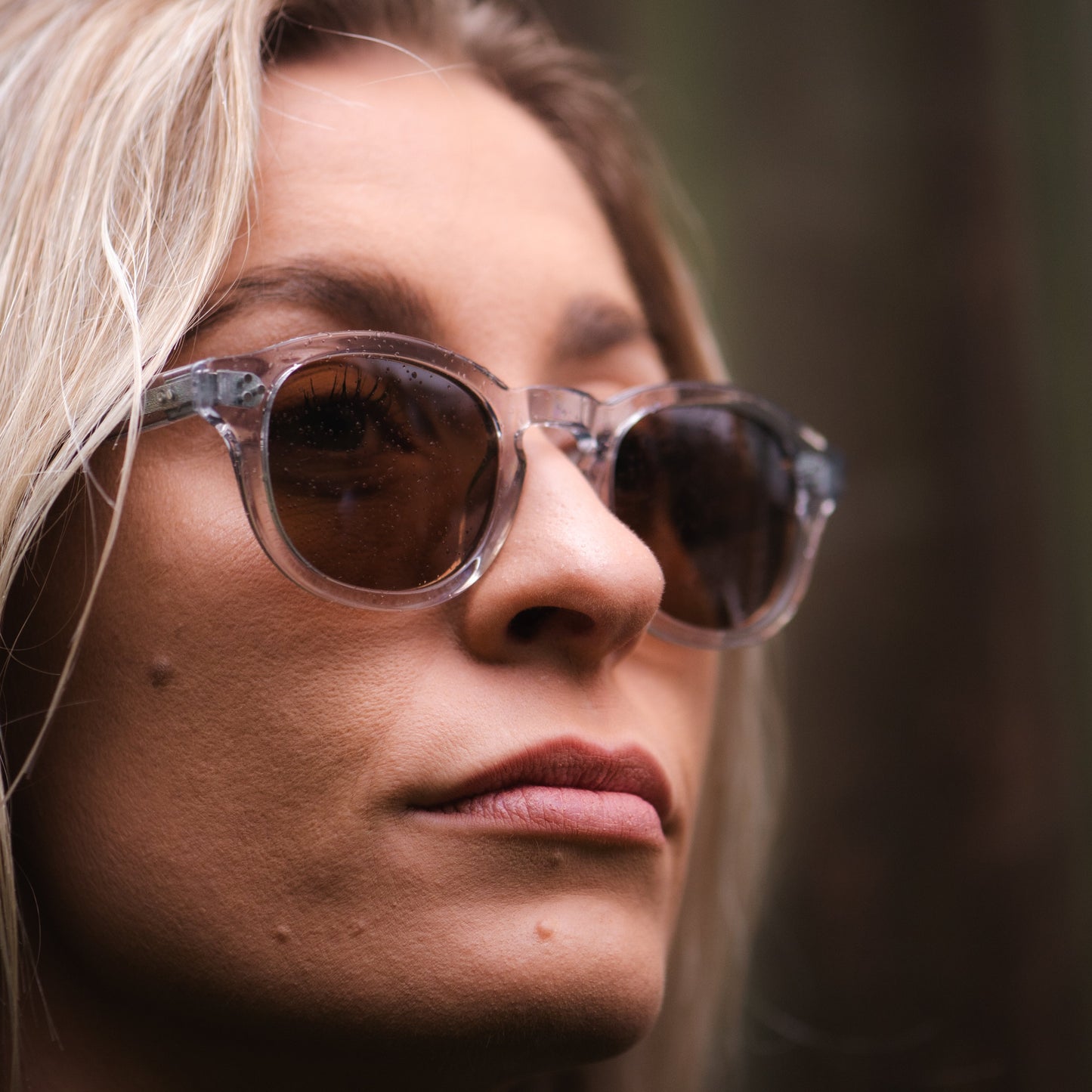 105 Clear Frame with Brown Lenses