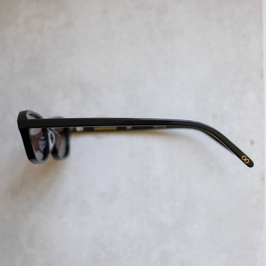 315 Dark Brown Frame with Brown Lenses